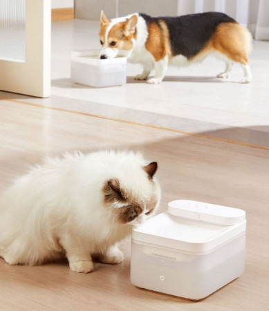 Умная поилка Xiaomi Mijia Smart Pet Water Dispenser 3L (XWWF02MG) Умная поилка Xiaomi Mijia Smart Pet Water Dispenser 3L (XWWF02MG)