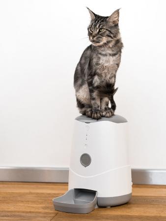 Умная автоматическая кормушка с Wi-Fi для кошек и собак Petoneer Nutri Feeder (FDW010) Белый Умная автоматическая кормушка с Wi-Fi для кошек и собак Petoneer Nutri Feeder (FDW010) Белый