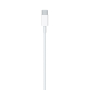 Кабель Apple Type-C - Type-C Charge Cable, 1 м Белый Кабель Apple Type-C - Type-C Charge Cable, 1 м Белый