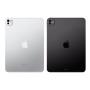 Apple iPad Pro 11" (M4, 2024, 7 gen) Wi-Fi + Cellular 2Tb Space Black, «черный космос» Apple iPad Pro 11" (M4, 2024, 7 gen) Wi-Fi + Cellular 2Tb Space Black, «черный космос»